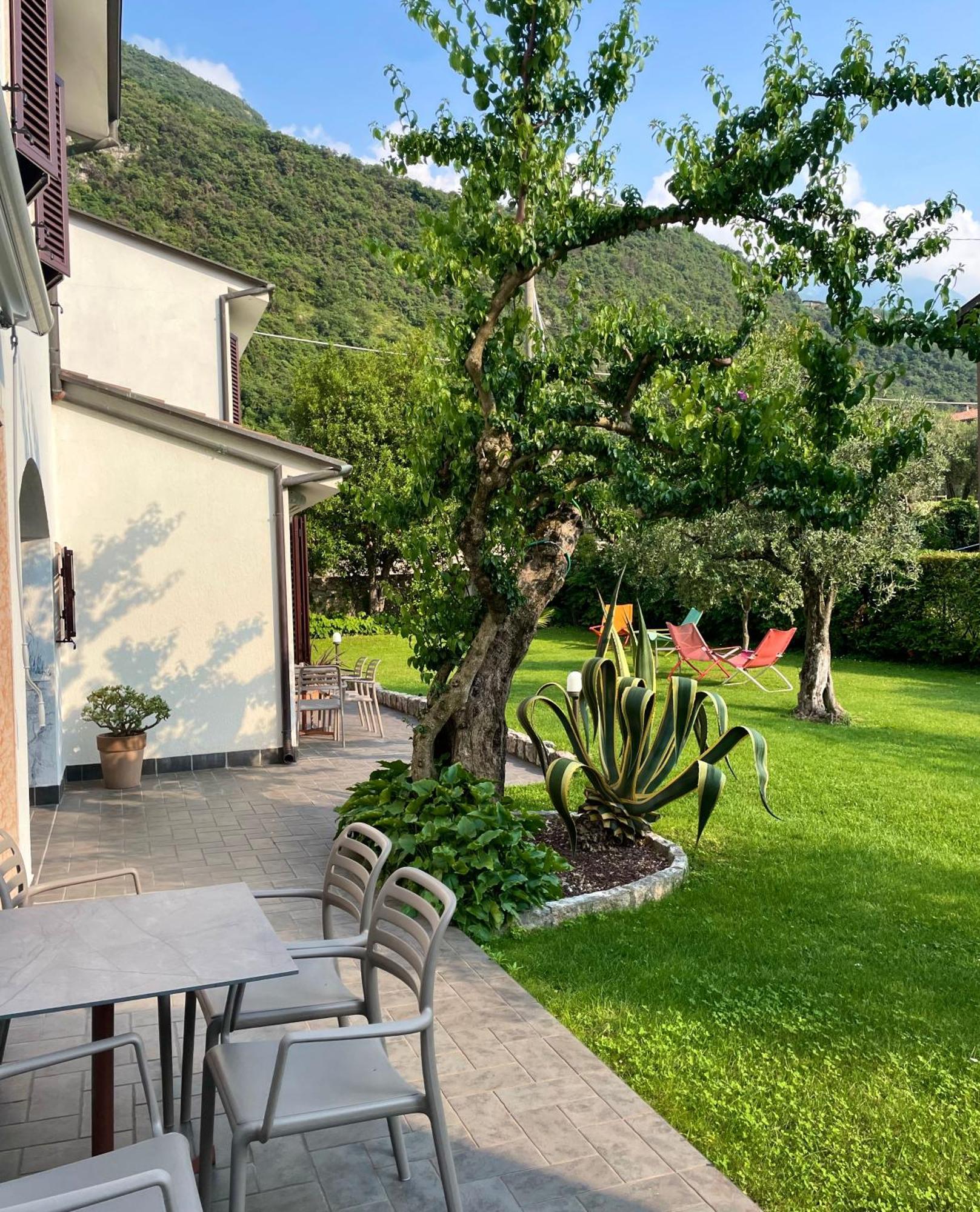 Alesi Malcesine
