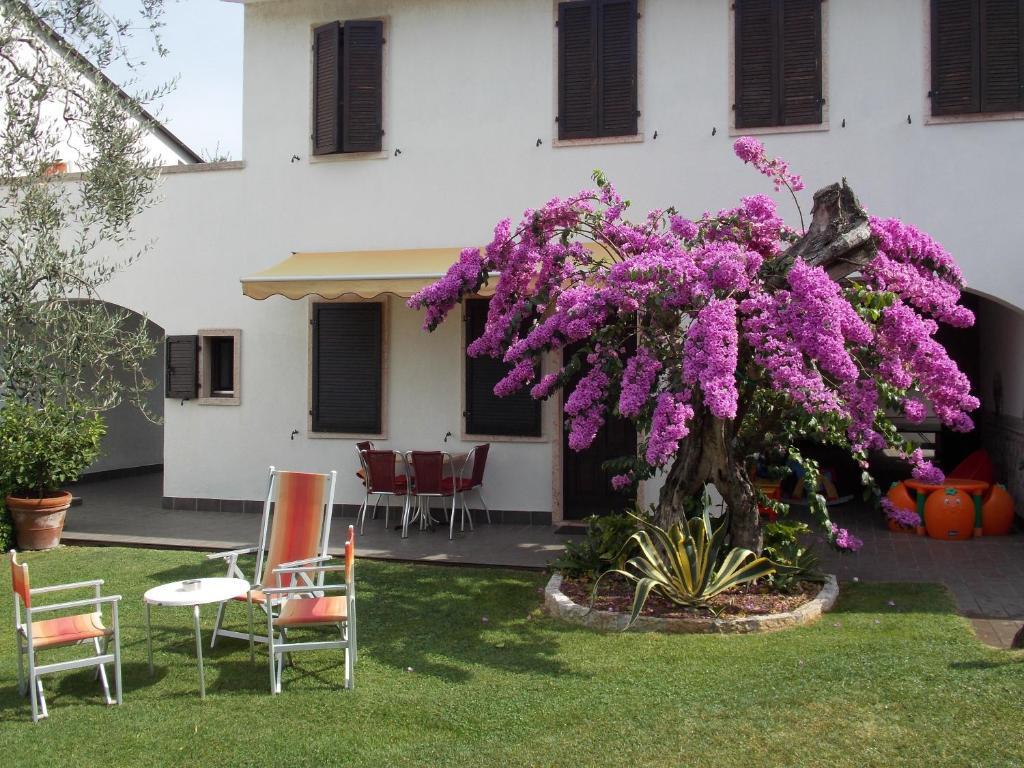 Alesi Aparthotel 3*